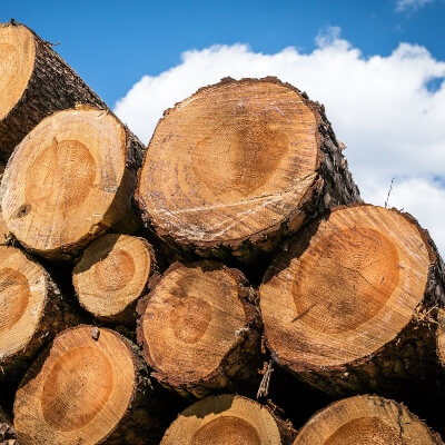 Log Yard Wiltshire