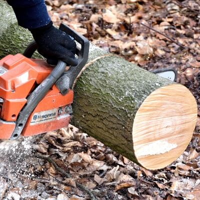 Log Yard Wiltshire