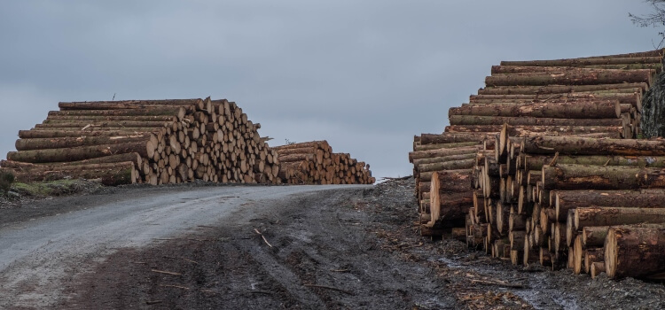 Log Yard in Wiltshire Site Expansion 