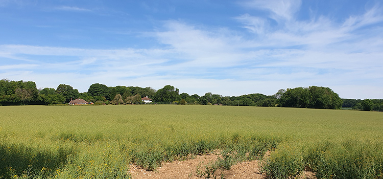 Replacement Dwelling